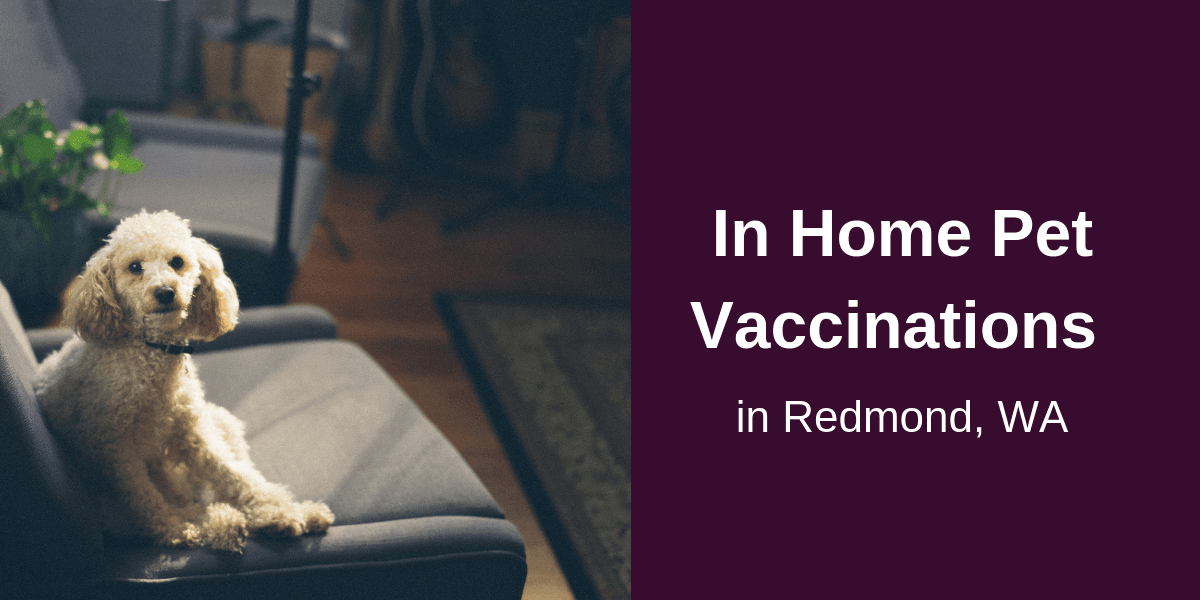 In Home Pet Vaccinations in Redmond, WA